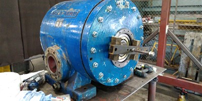 IMG_20190307_1256425